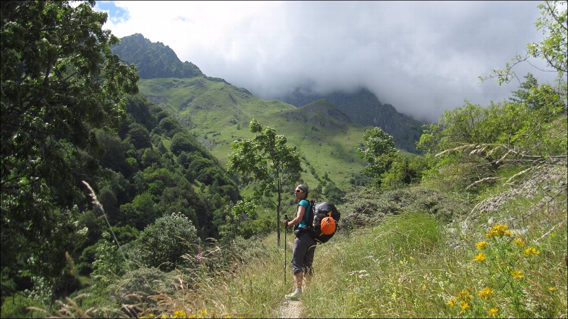 Un petit air de l'île de la Réunion non ?