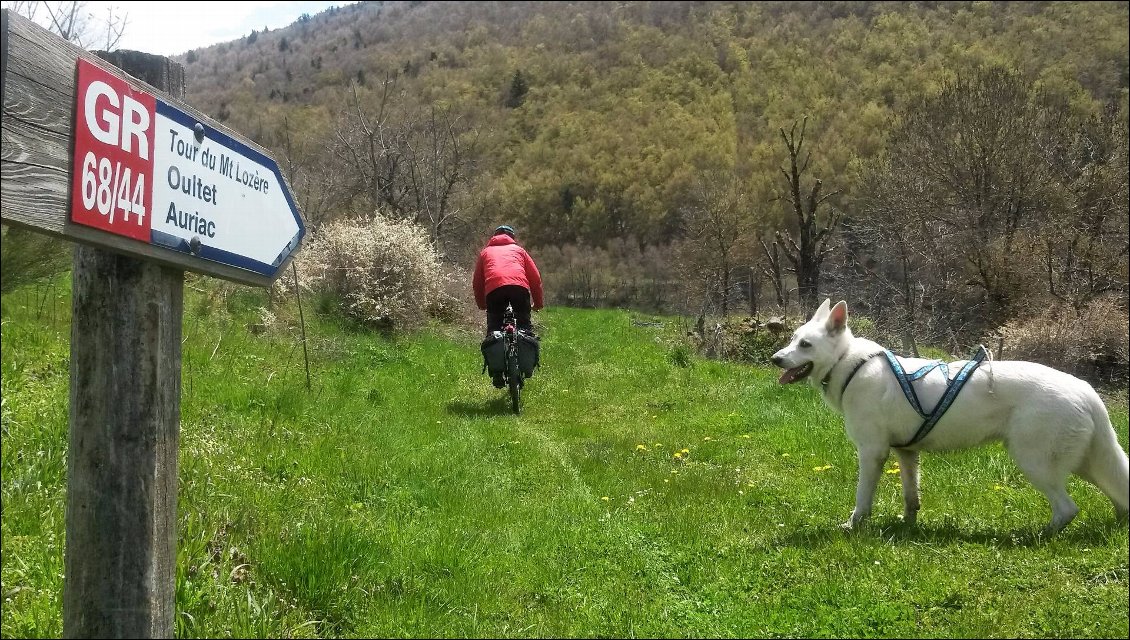 Joon vérifie si c'est le bon chemin.