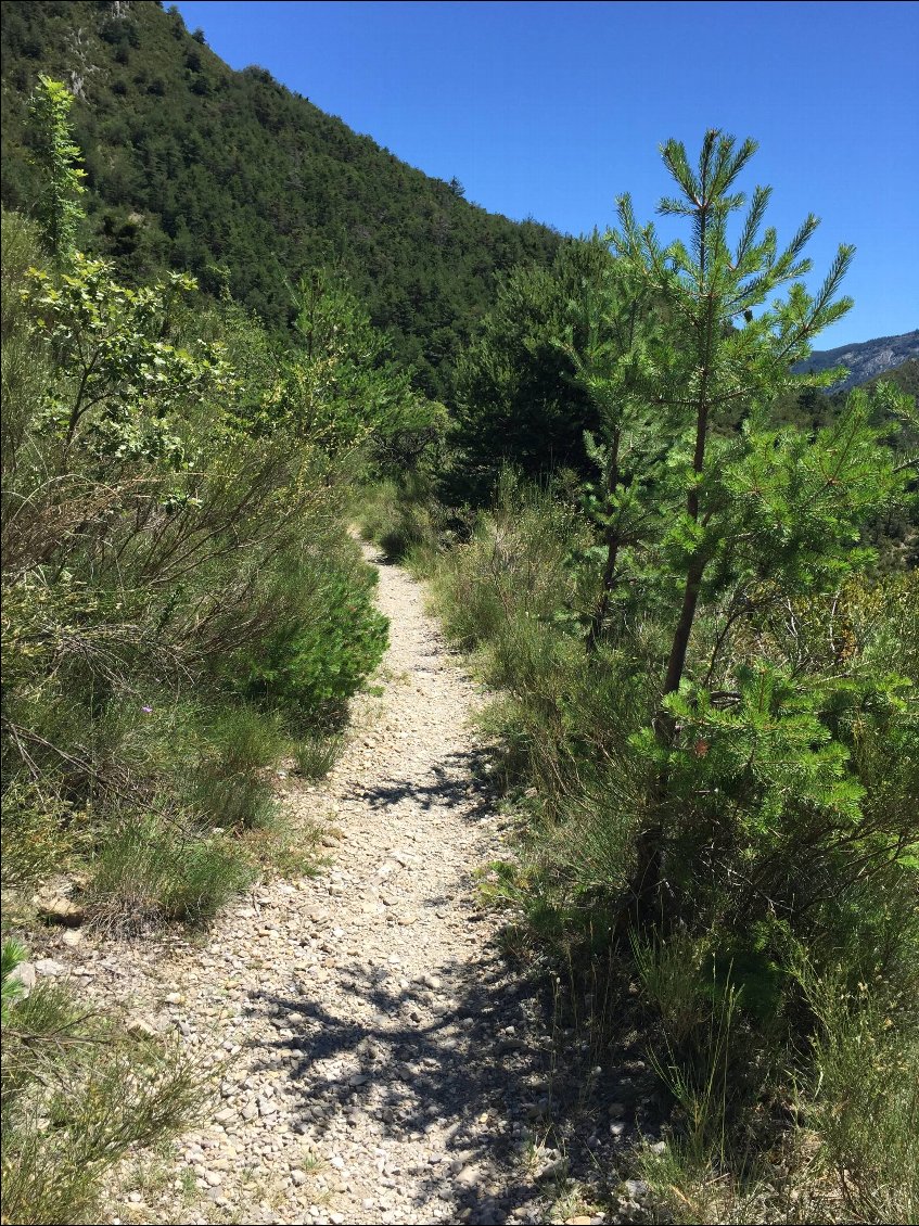 Le GR 4 en direction de Castellane