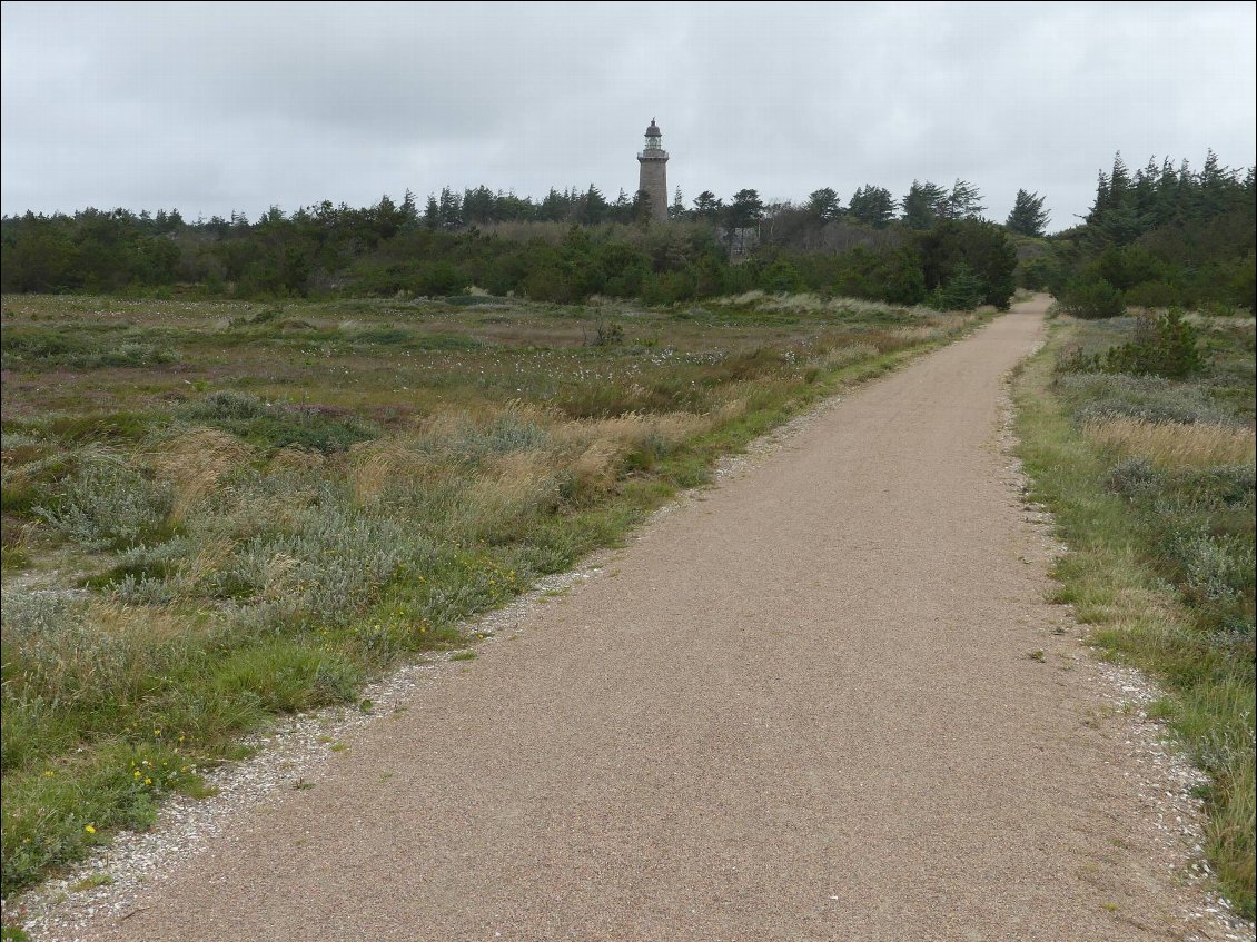 des cailloux, des cailloux, encore des cailloux