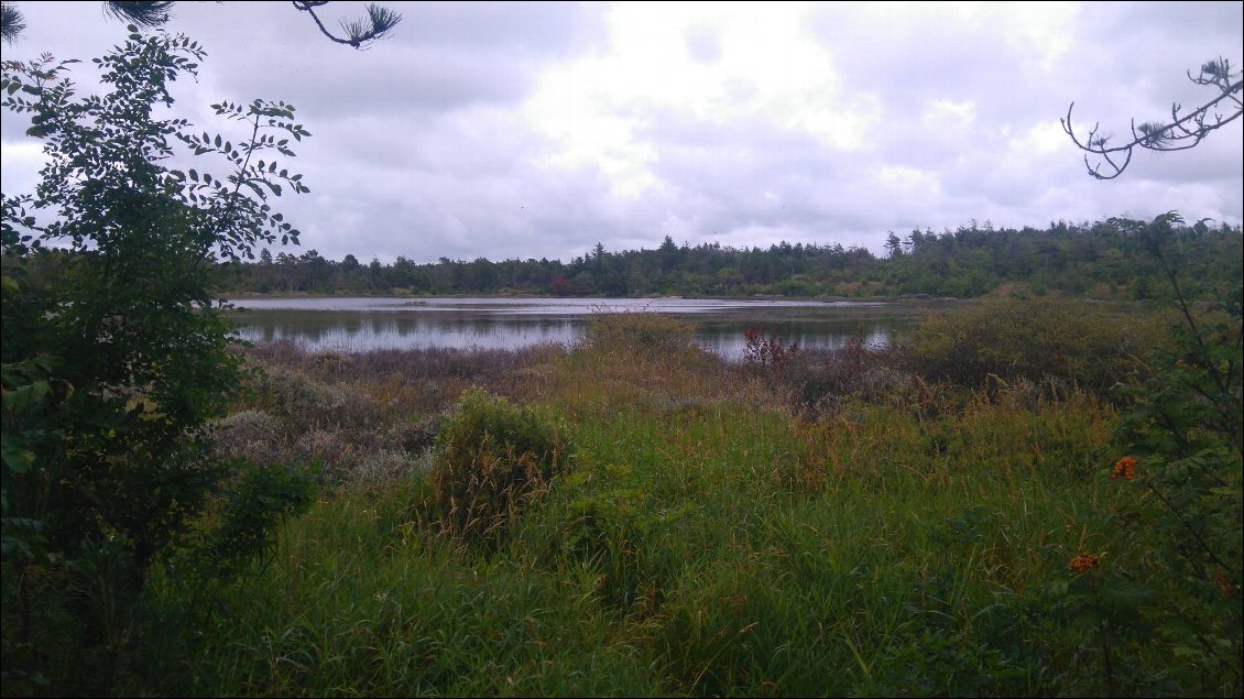 dans le parc national