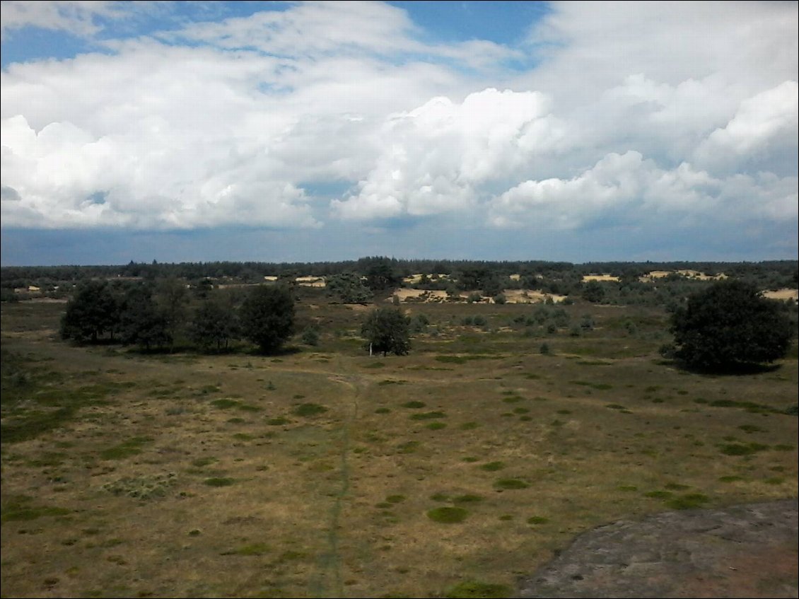 Il paraît qu'il y a un microclimat dans ces dunes et qu'il peut avoir jusqu'à 80°C de différence entre les plus basses et les plus hautes températures. Cela me semble énorme quand même.