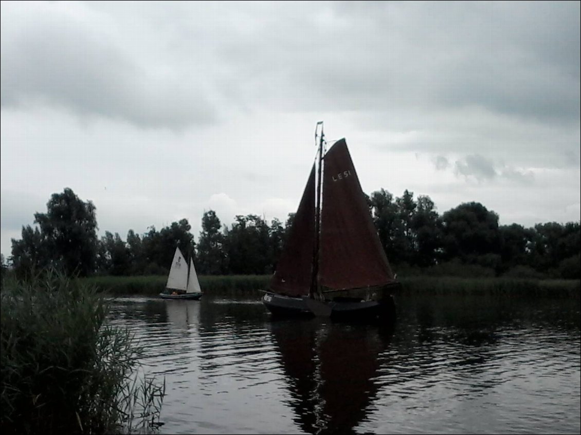 Il naviguait en père peinard sur la grand' mare des canards ...