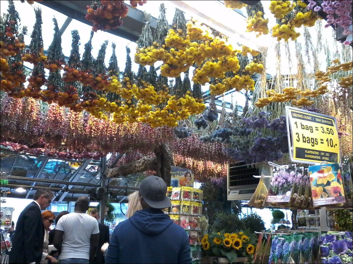 Le marché aux fleurs d'Amsterdam