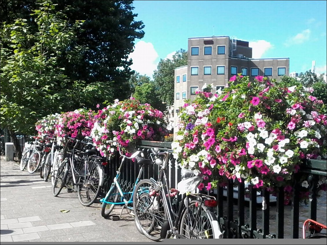 Grand beau temps à Amsterdam