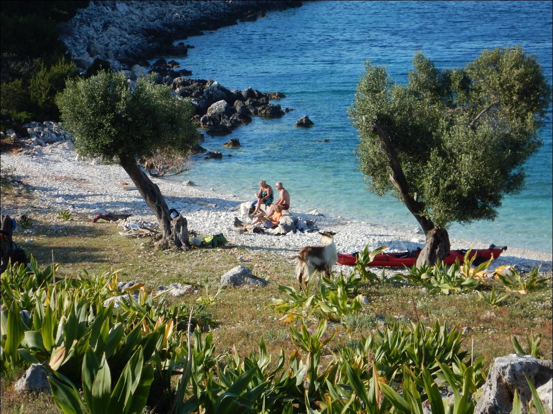 la plage aux biquettes