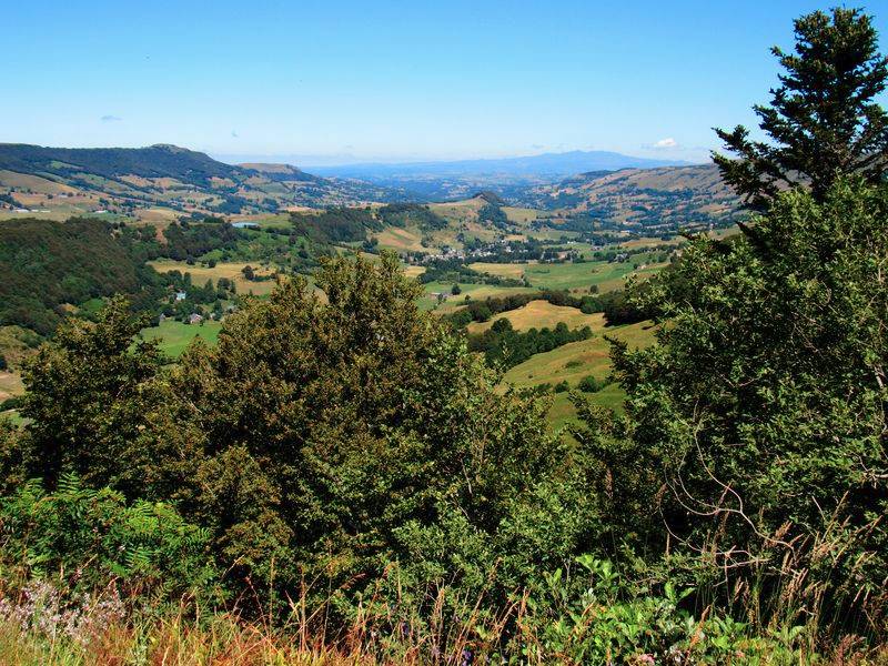 Vue sur la vallée de Cheylade , et le Massif du Sancy en arrière plan :