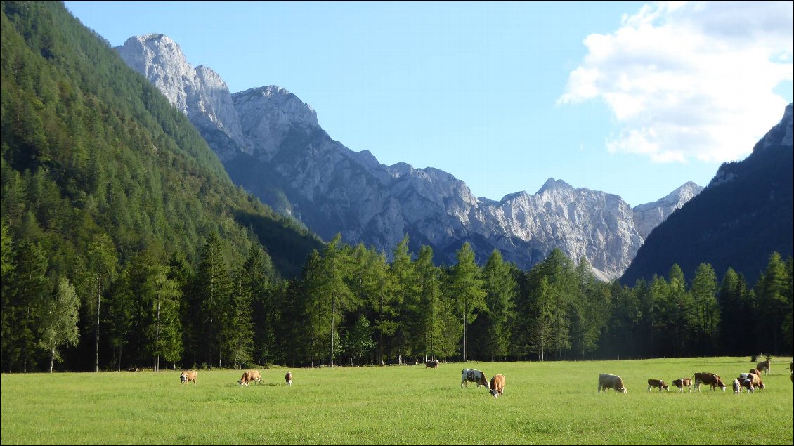 Bel alpage au pied du Triglav