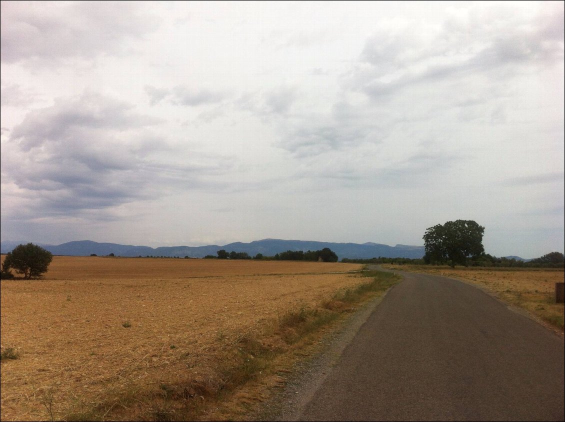Campagne de Puimoisson, ça monte et ça descend dans ce couloir de vent. Vite vite le verdon!
