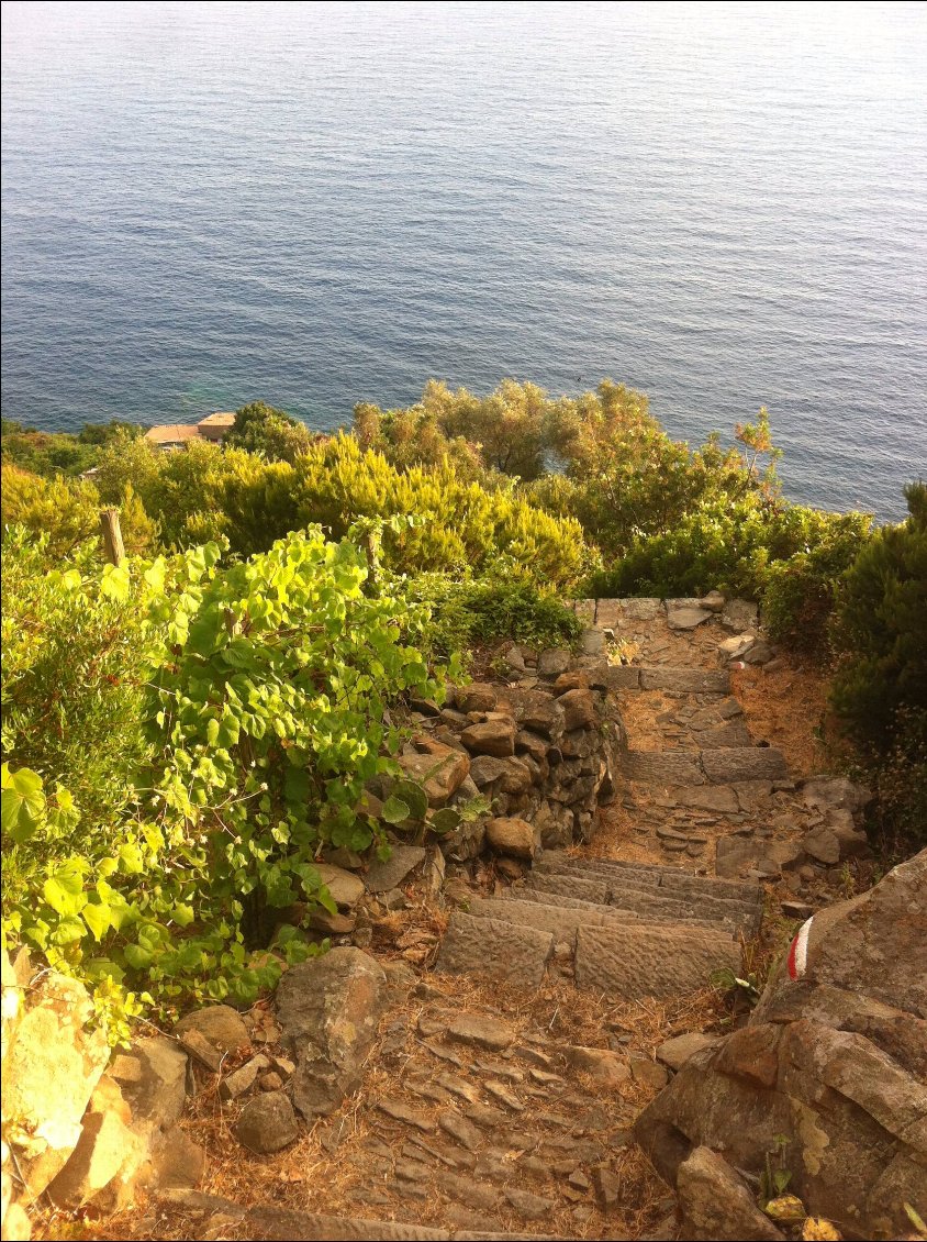 Descente vers la plage (de cailloux)!!