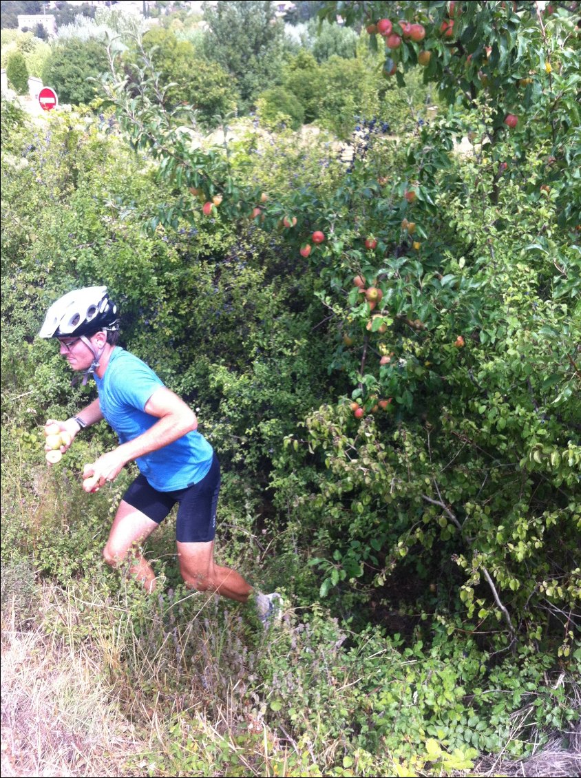 à la pêche aux pommes en bord de route!