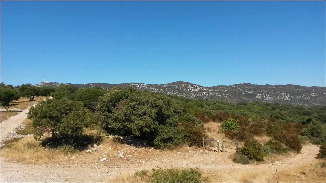 Rando Saint Guilhem