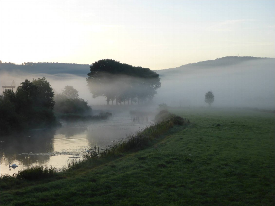 Brume matinal