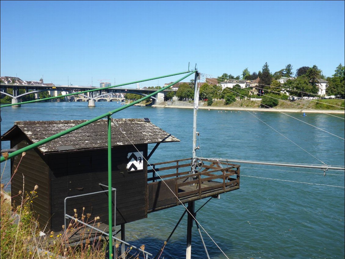 Etonnant, mais surement très plaisant, la dérive des baigneurs sur le Rhin en pleine ville (points blancs dans l'eau au niveau de la rive opposée)