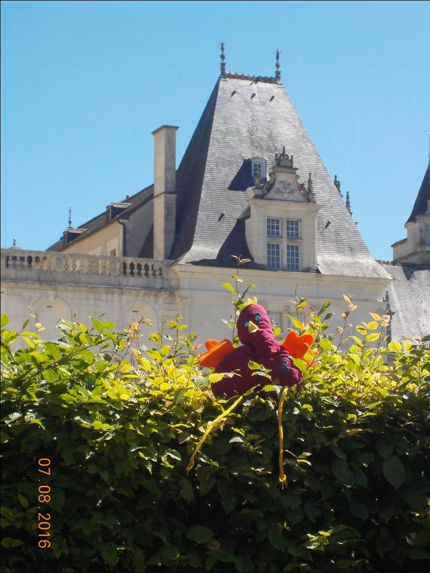 Mascocotte aussi a visité et aimé le Château de Vilandry.