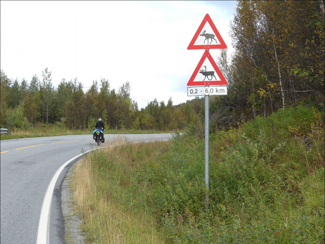 y'en a du trafic sur cette route!