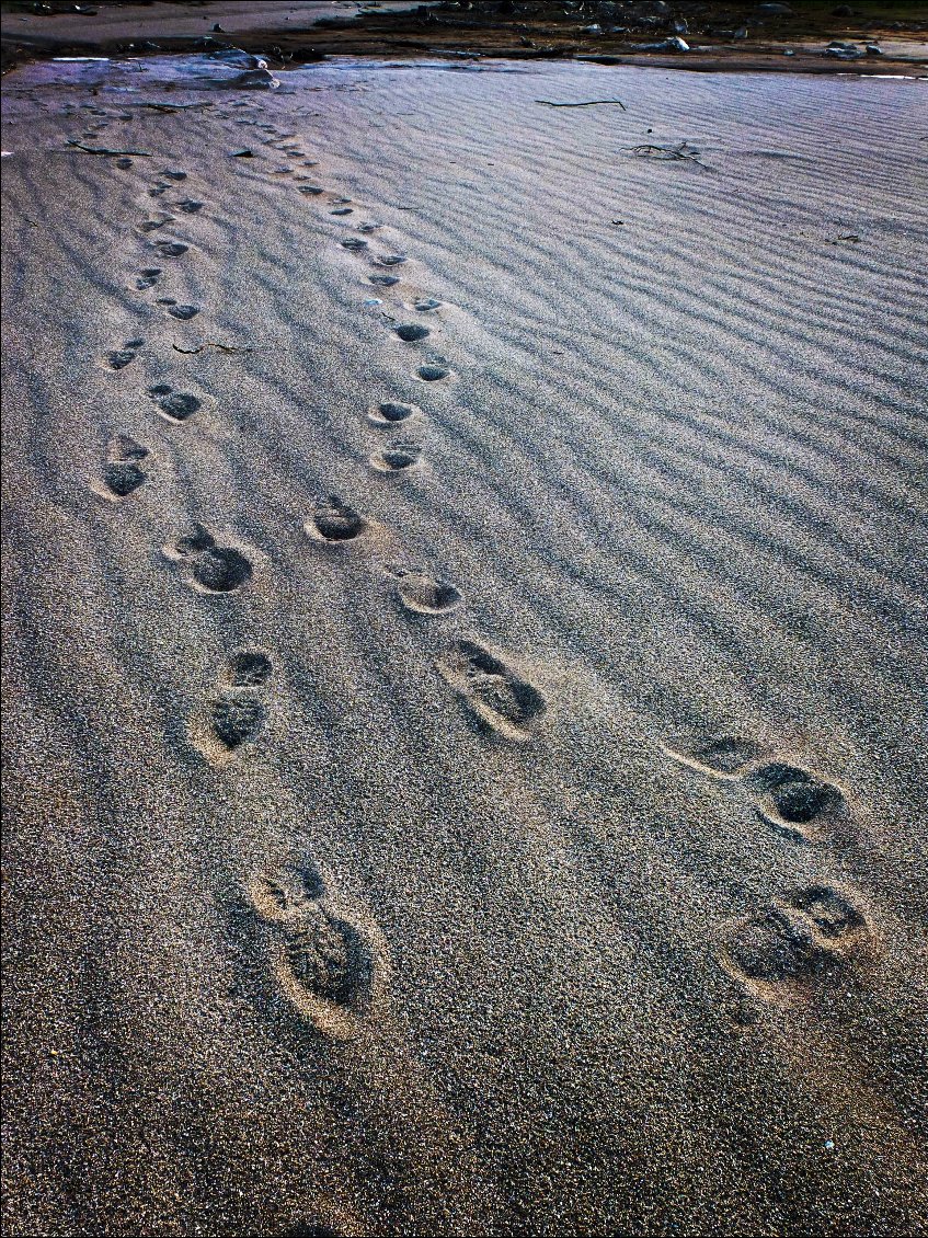 Les seules traces que l'on tente de laisser.