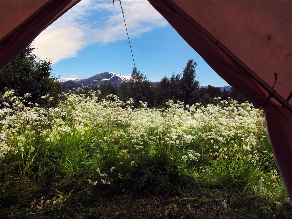 Bivouac 8. Orienté vers Juobmotjåkka et entouré de montagnes.