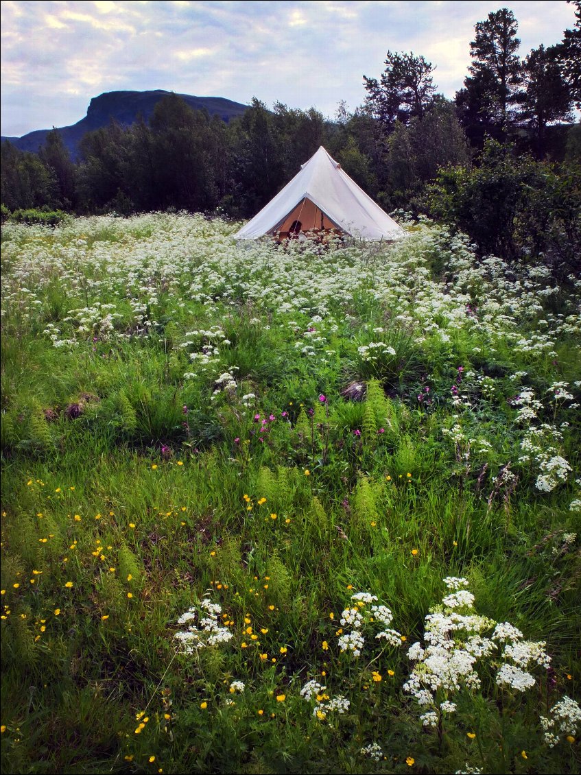 Apres 2 bivouacs consécutifs sans charme, on n'a pas hésité. Même si la végétation reste chargée d'humidité.