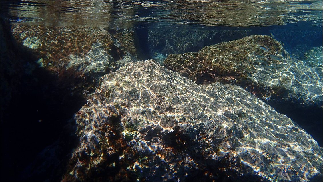 Le rocher sur lequel je suis tombé en me mettant à l'eau pour chasser. Résultat une côte méchamment abimé, repos forcé pour 3 semaines !