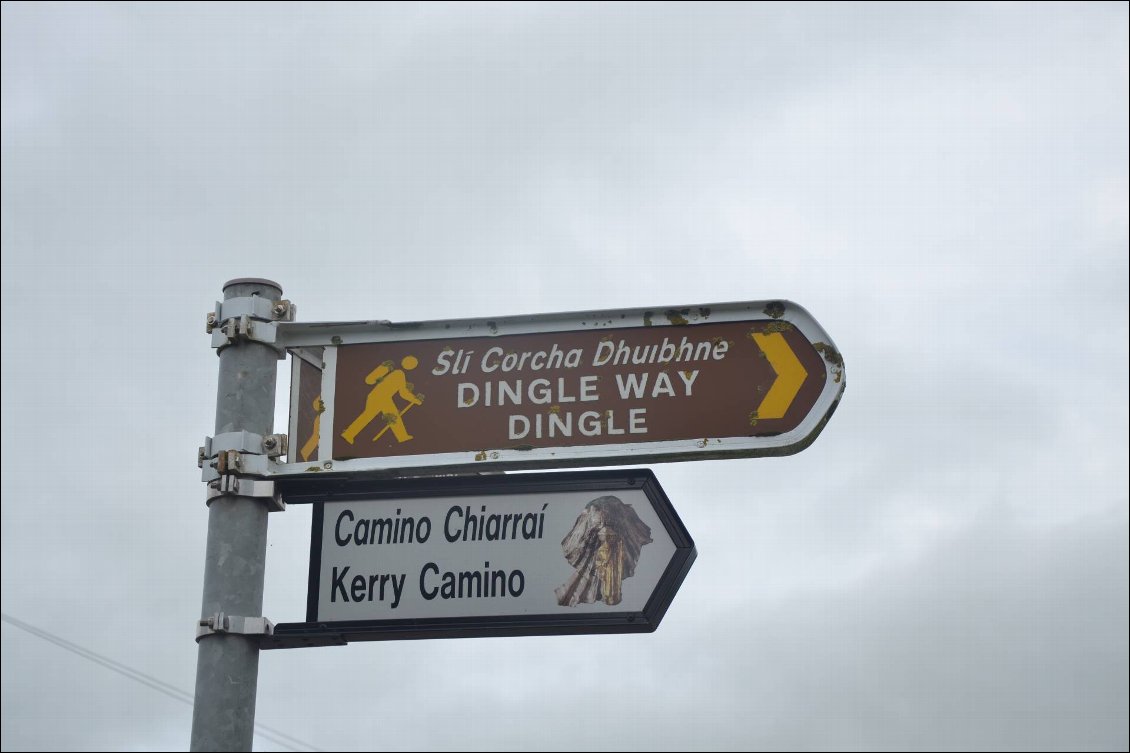 Couverture de Dingle Way