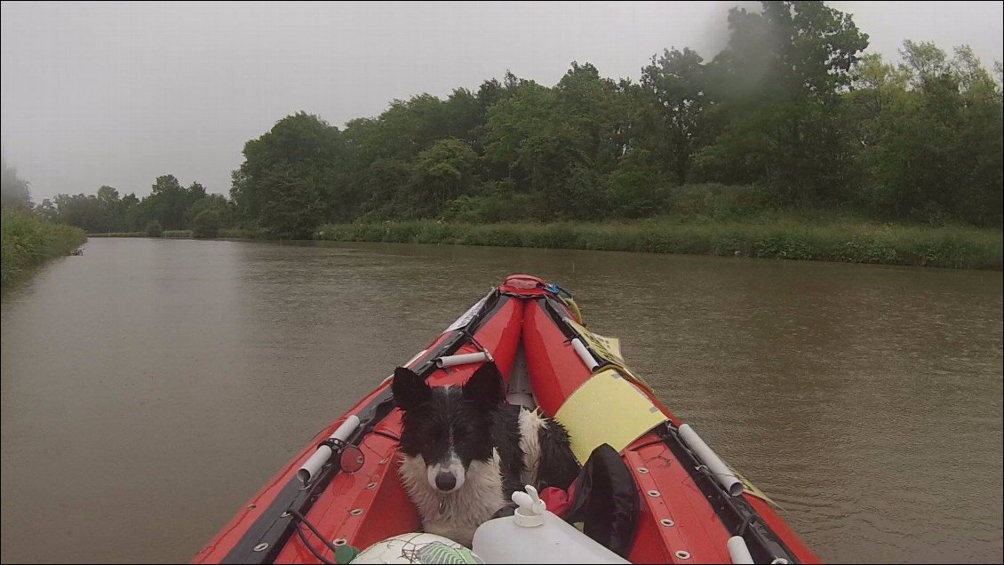 courant de face, trombes d'eau, vent de face, tout s'y met ! même le chien essaye d'oublier!