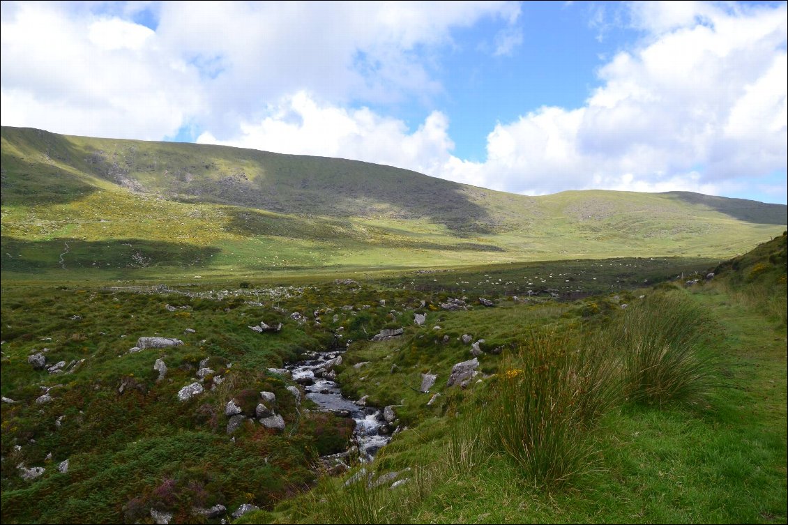 D'Annascaul à Dingle