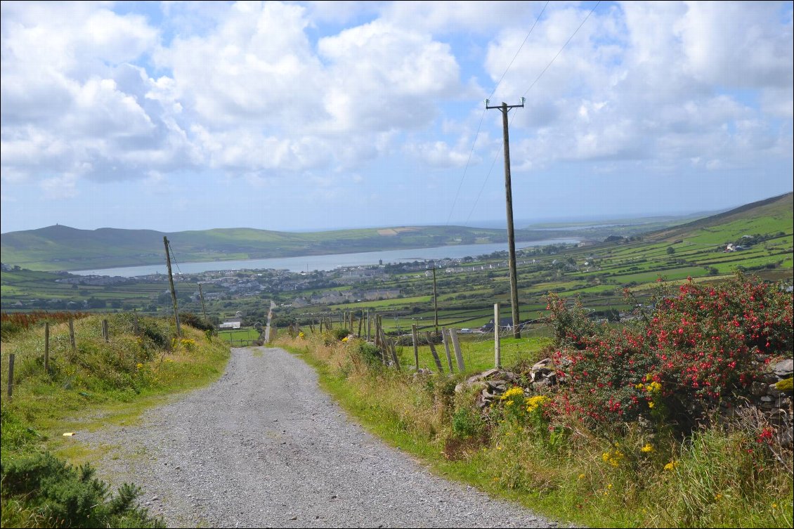 Dingle, c'est tout droit!