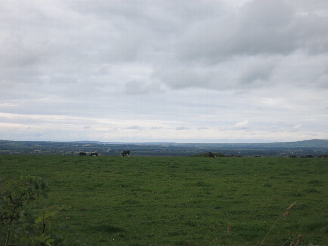 Le temps pour aller Tralee n'a pas été très clément, mais on a pu profiter du paysage vallonée et sinueux du sud de l'Irlande.