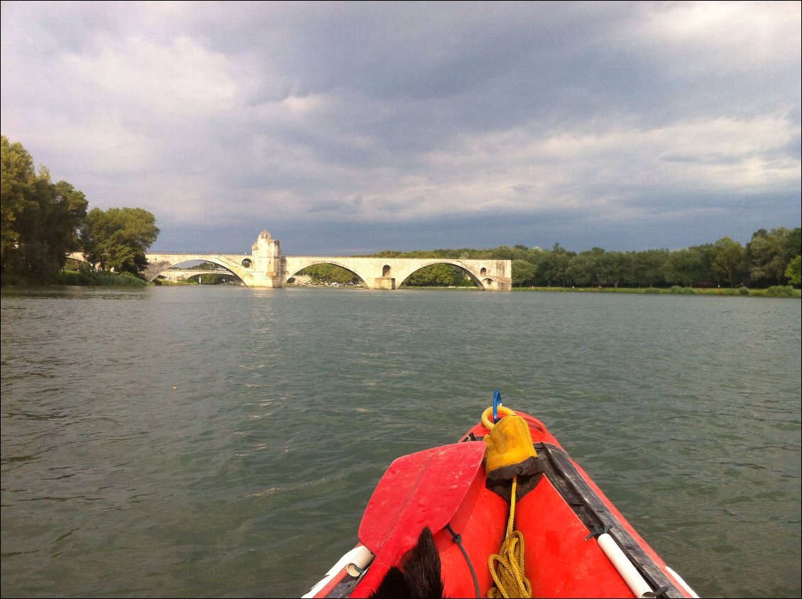 Avignon