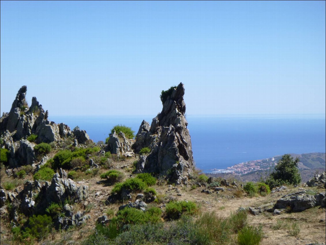 J1 Banyuls-Tanyarède