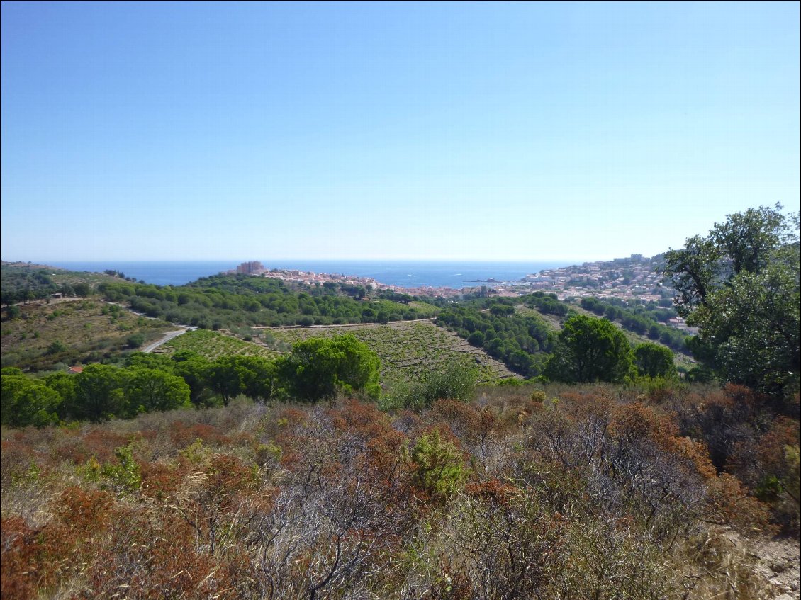 J1 Banyuls-Tanyarède