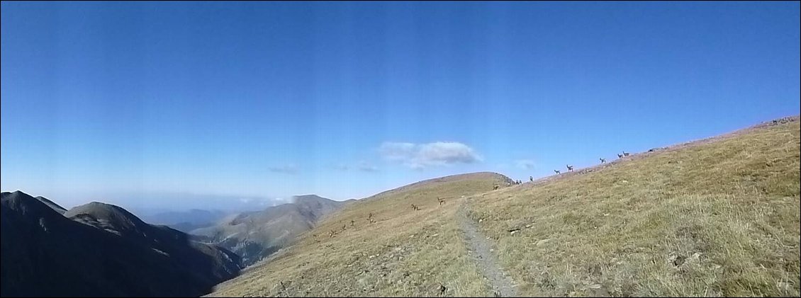 En bonne compagnie sur les crêtes :-)