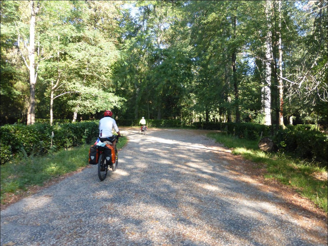 Traversée d'un parc pour quitter Coimbra