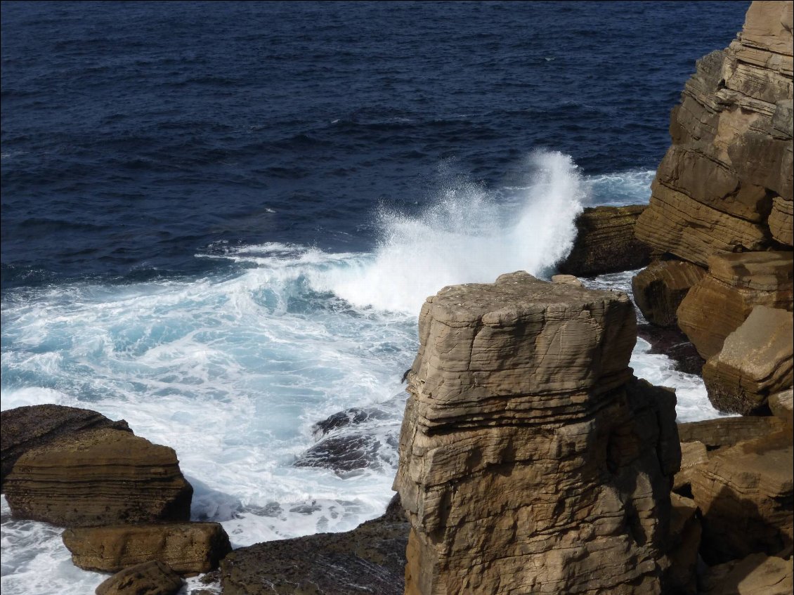 Cabo Carvoeiro