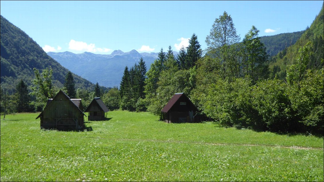 Chalets au milieu des champs