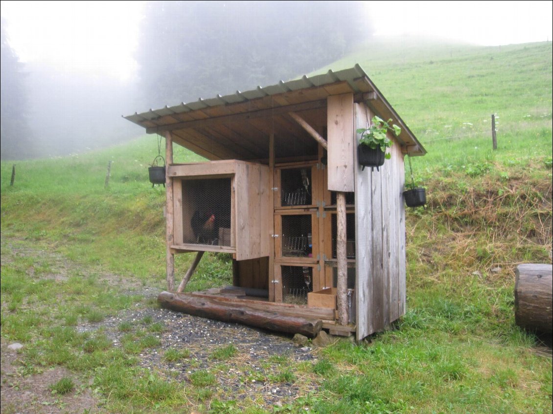 Petit poulailler de la ferme.