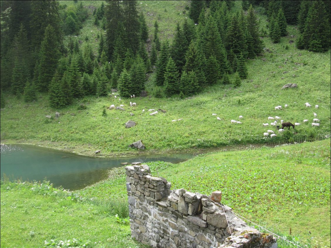 Vue de ma chambre, lors d'une petite éclaircie...