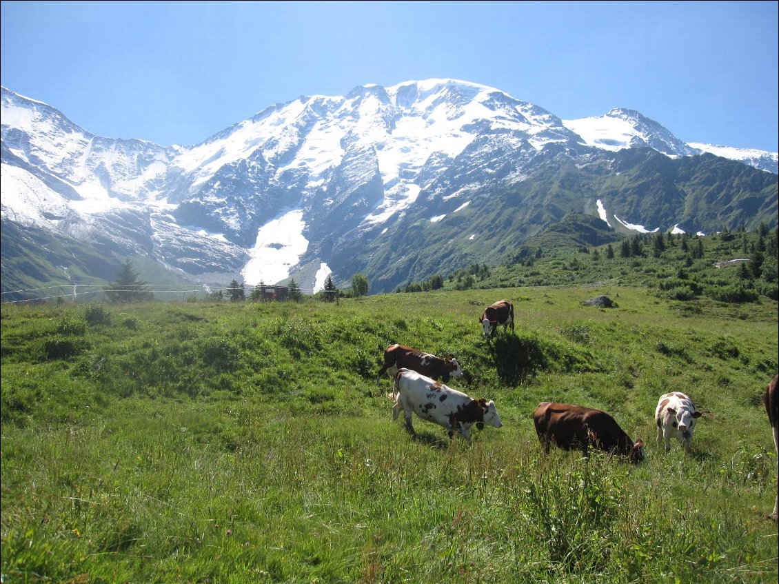 La montagne, ça vous gagne....