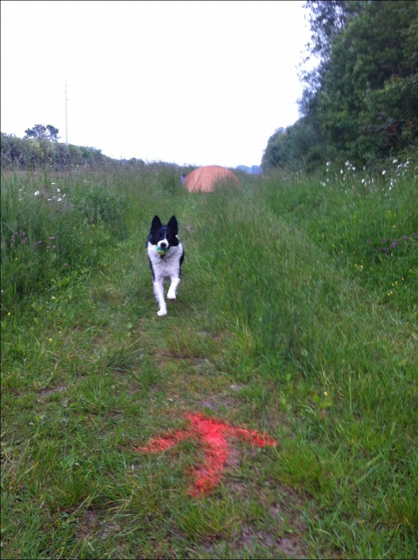 avant de m'installer j'avais pas vu la fleche !
le parcours rando c'est par là !