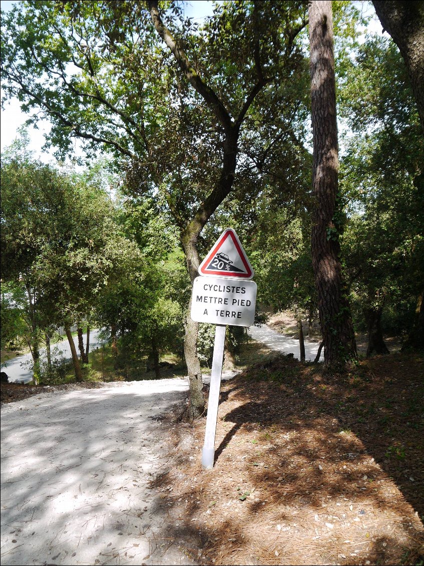 Euh...c'est une piste cyclable ! Merci à la DDE de créer un panneau approprié !