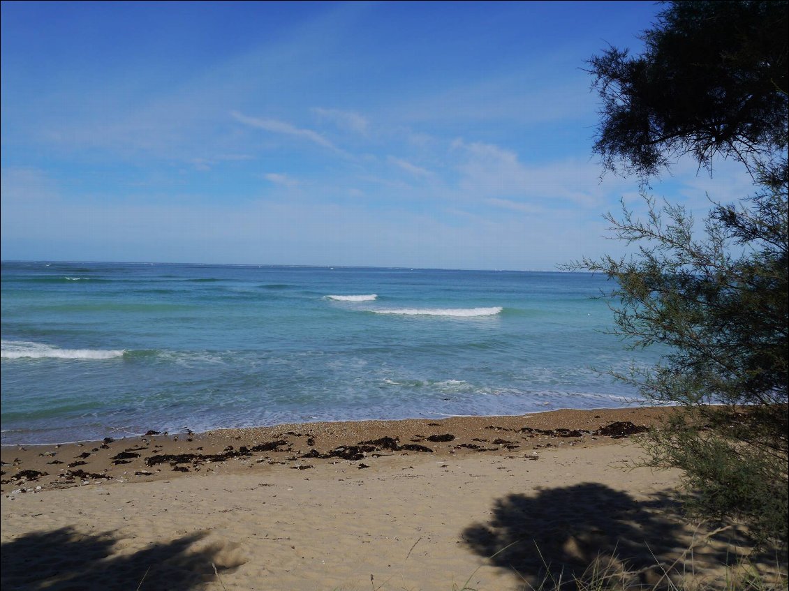 Plage du Sabia