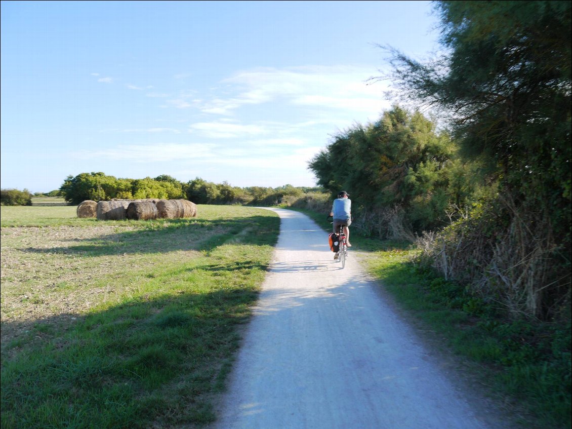 A travers la lande et le bocage