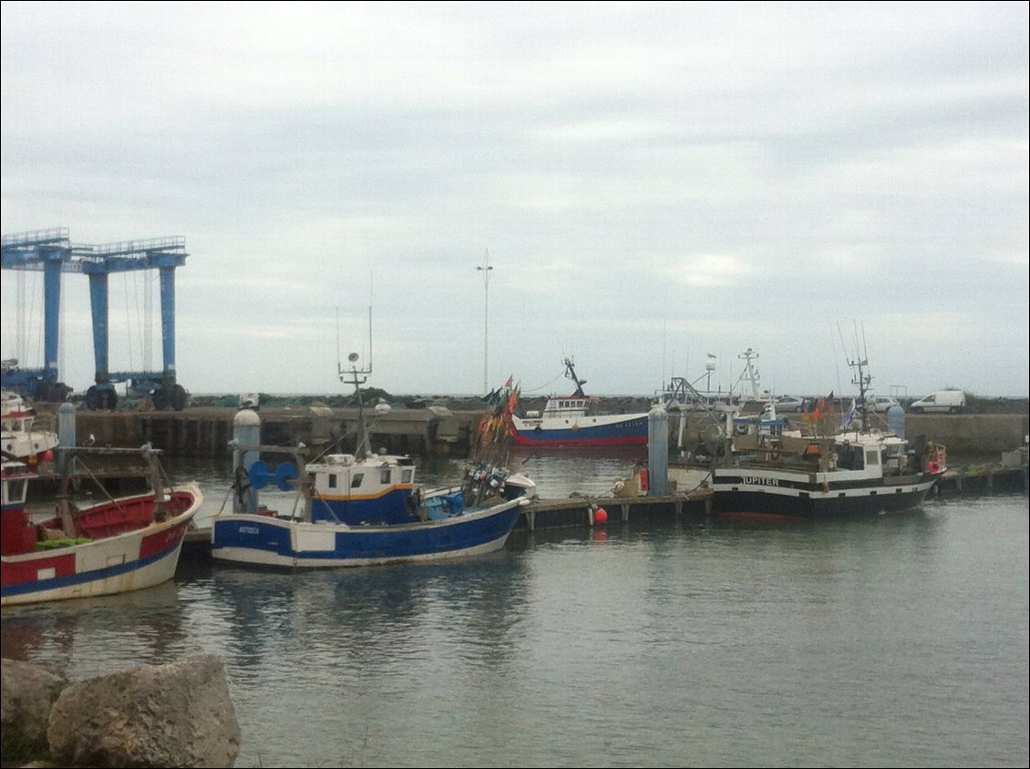 Port de pêche de la Cotinière