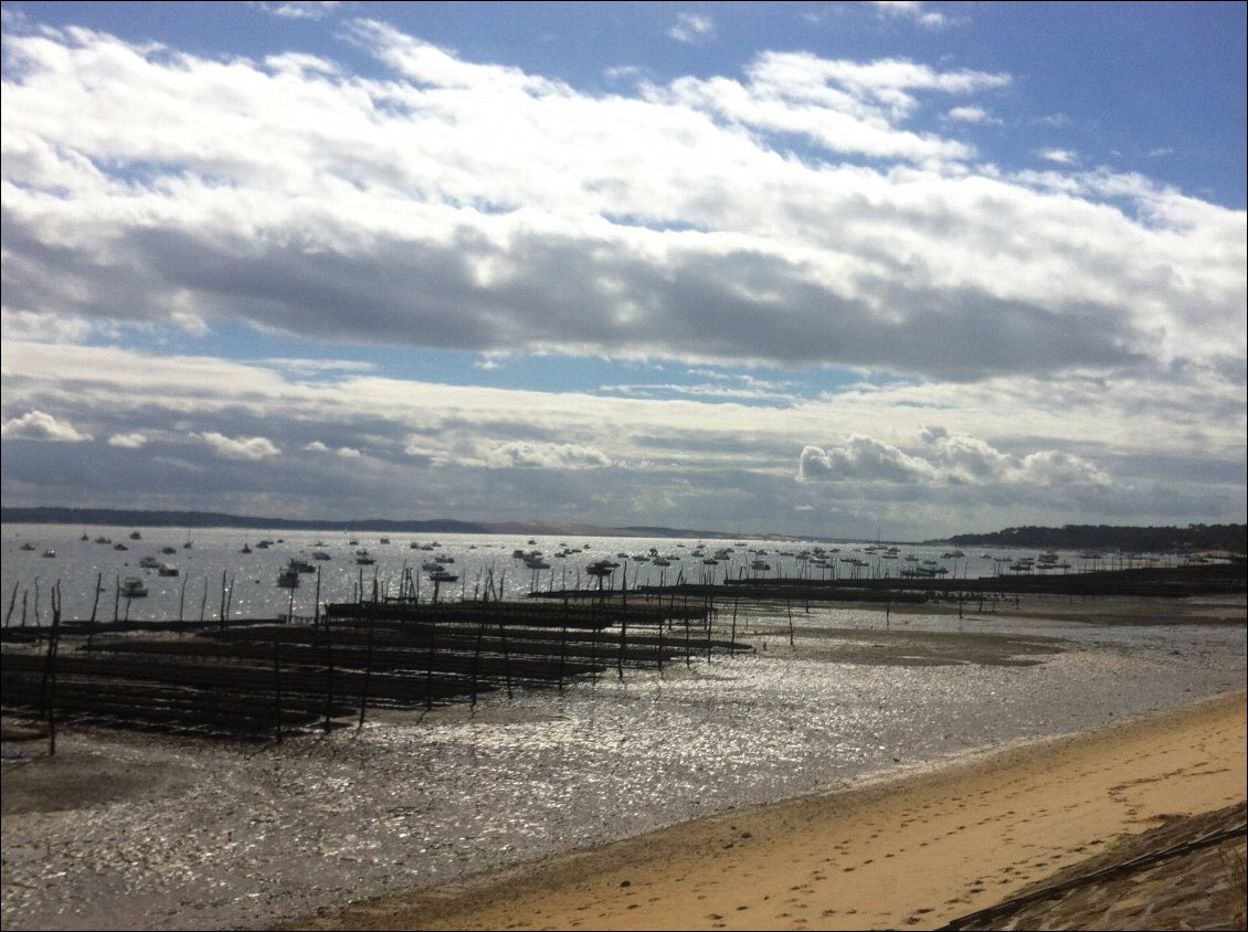 La baie d'Arcachon, parcs à huîtres