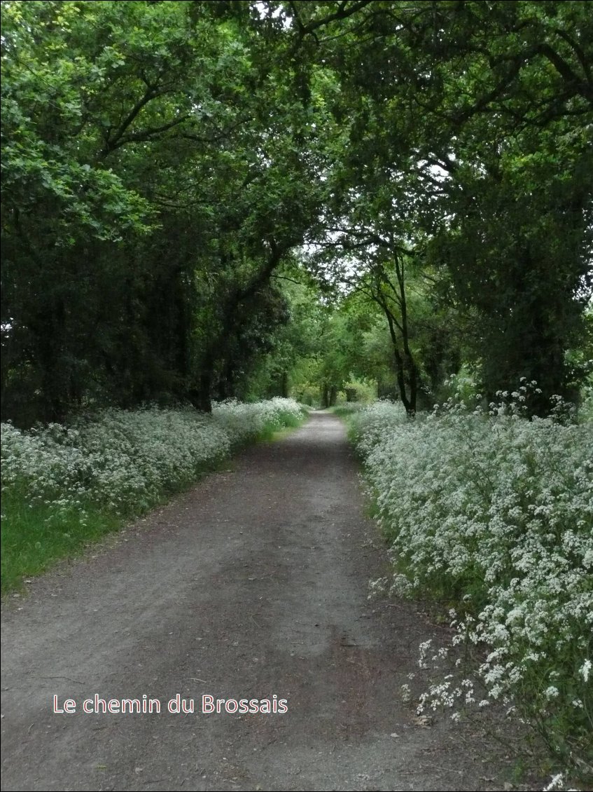 Le Premier chemin Bouguenaisien en direction de St Brévin. Première averse aussi jusqu’à St Jean de Boiseau.