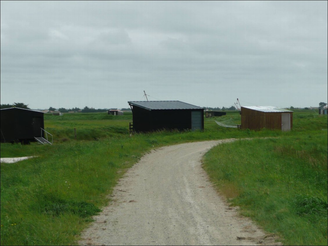 Marais Breton Vendéen