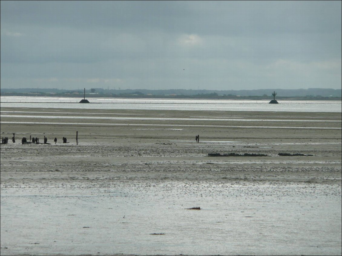 Le Gois : route submersible à marée haute