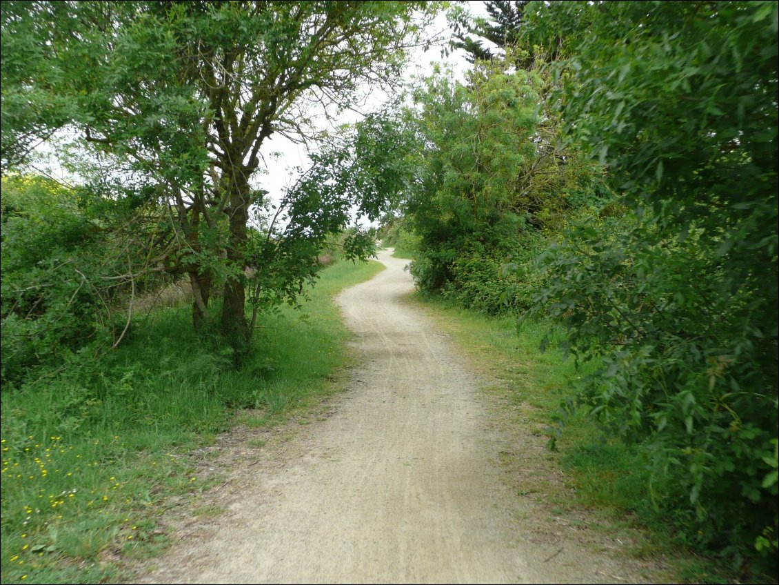 Section 1