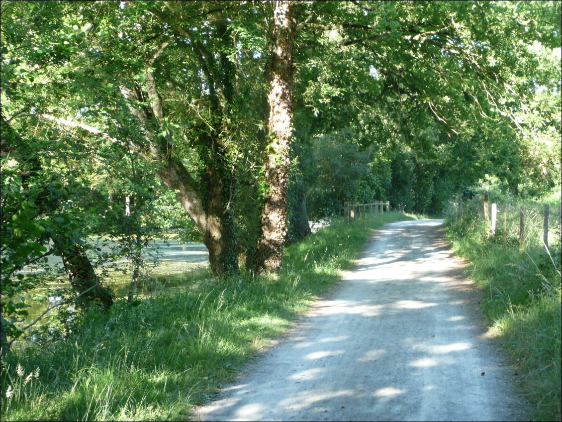 Bouguenais - Saumur